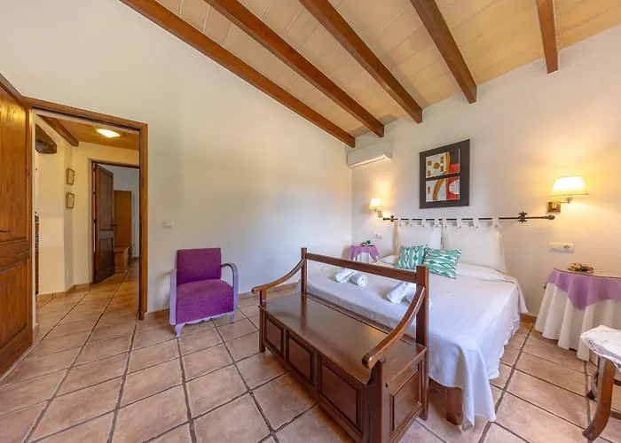 Miro By 360 波连斯萨