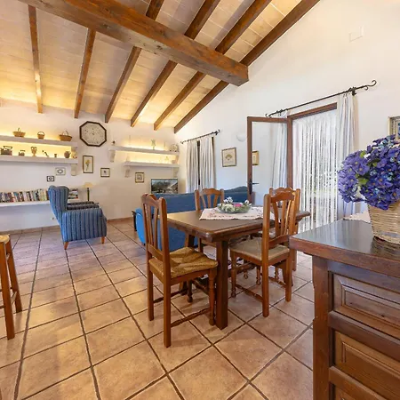 Miro By 360 * ポレンサ